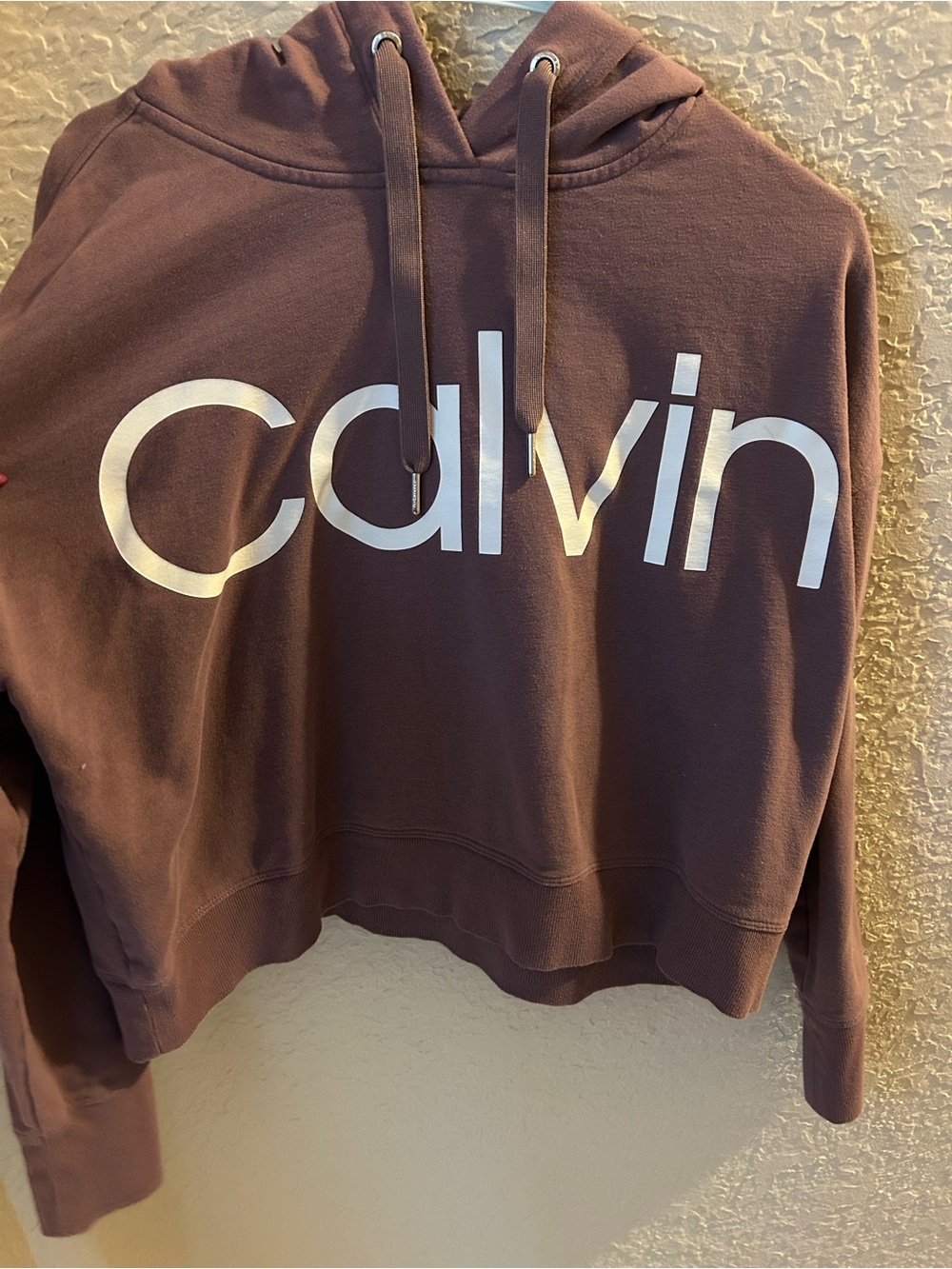 Calvin Klein Performance Dusty Mauve Pullover Hoodie